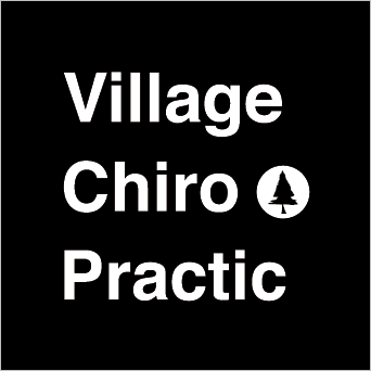 village chiro practic